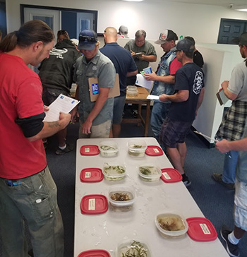 Staff from 10 marinas learn to identify aquatic plants at the lab portion of an Eyes on the Lake training.