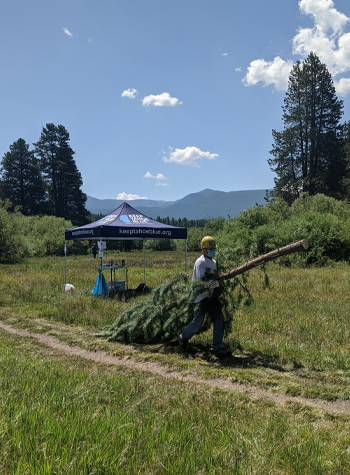 Volunteers remove pines encroaching on wetland habitat in Johnson Meadow as part of Tahoe Forest Stewardship Day, July 2020.