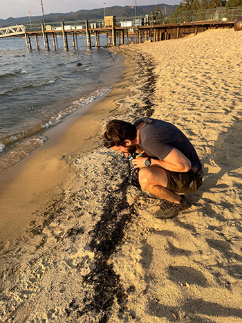 A UNR researcher examines ash from the Caldor Fire on a Lake Tahoe shore.