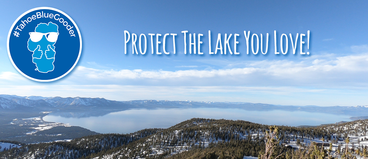 Protect the Lake You Love