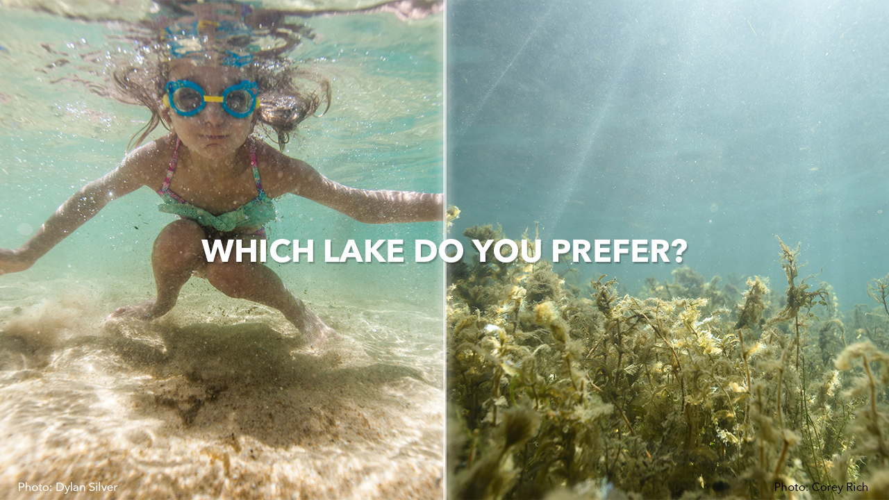 Clear water in Lake Tahoe - water choked with invasive weeds