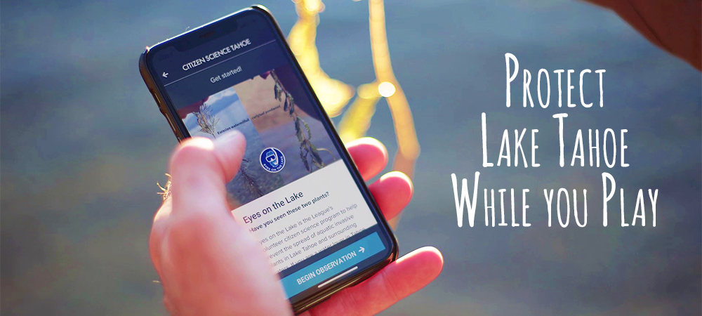Using the Citizen Science Tahoe App