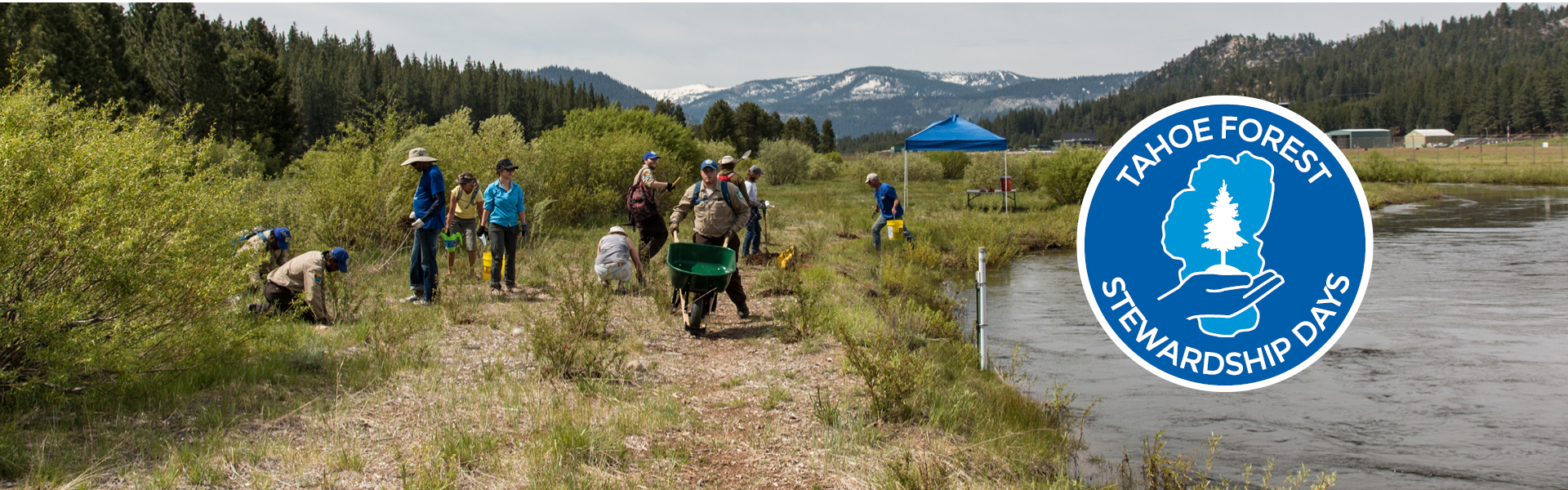 Tahoe Forest Stewardship Days