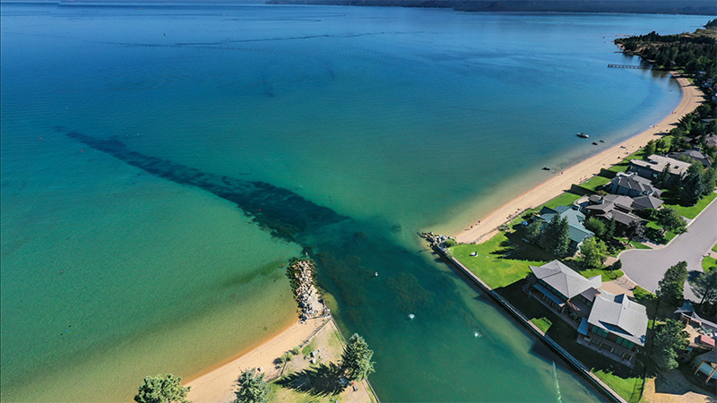 Invasive weeds spilling into Lake Tahoe